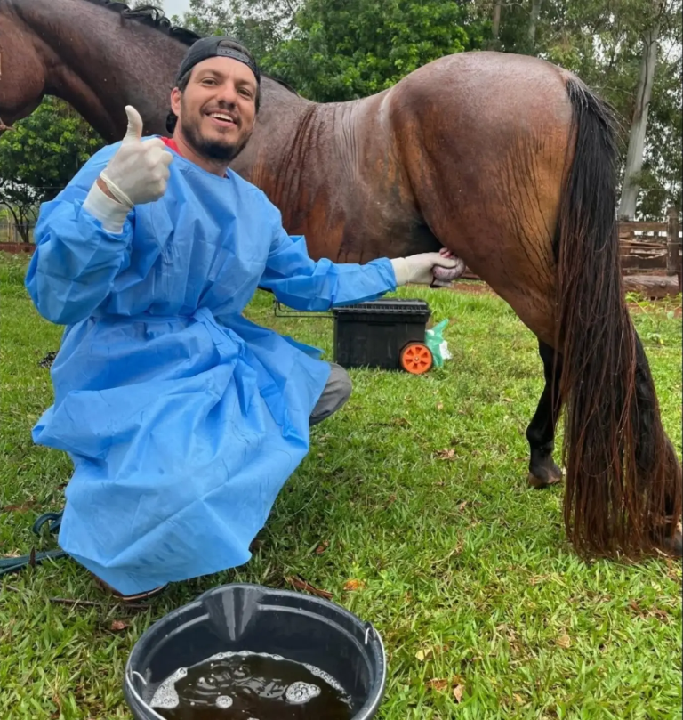 Dr. Branco atendendo equino